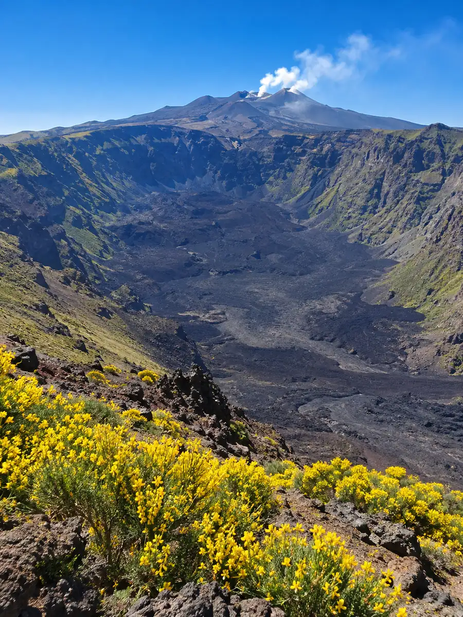 L'enorme ferro di cavallo della Valle del Bove sull'Etna, colate di lava scura in basso e ginestre gialle in primo piano